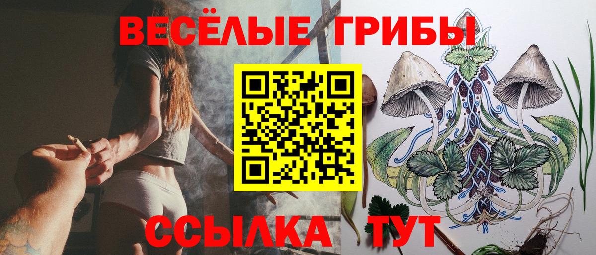 Похвистнево  Псилоцибиновые грибы мухоморы  Вход с VPN  Галлюциногенные грибы прущие грибы 
